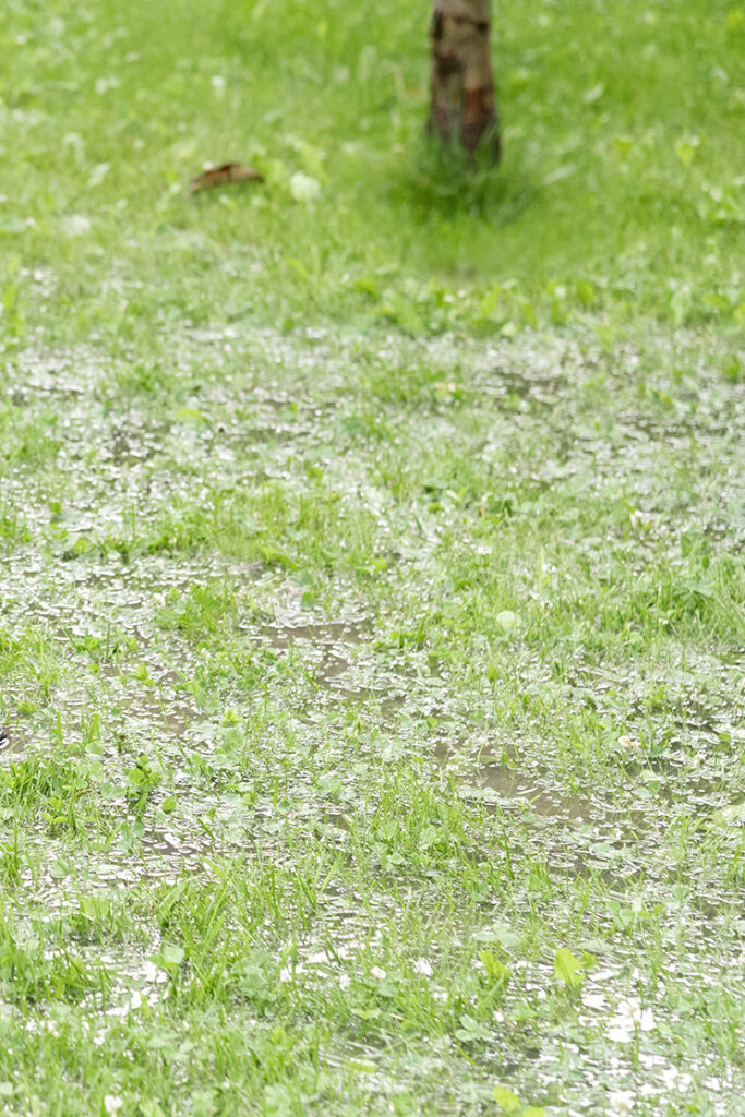 water flooding grass