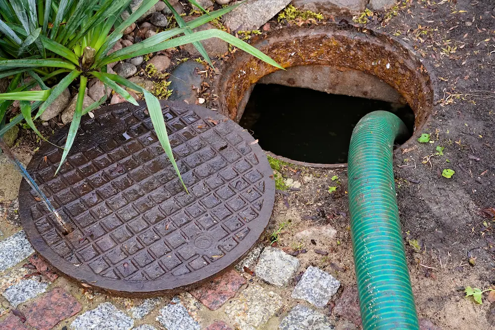 A green hose going into an open manhole for sewer bypass pumping, in a septic tank from a Puget Sound business