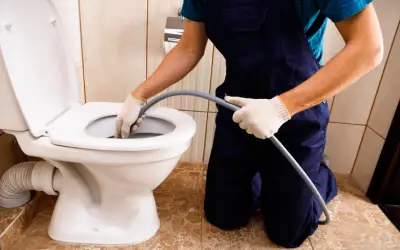 puget sound septic technician performs septic safe drain cleaning in seattle area home